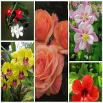 Dịch vụ giải thể công ty trọn gói giá rẻ tại Lâm Đồng 6 Muốn giải thể công ty trọn gói giá rẻ tại Lâm Đồng