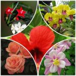Muốn giải thể công ty trọn gói giá rẻ tại Nghệ An