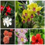 Dịch vụ giải thể công ty trọn gói giá rẻ tại Ninh Bình 6 Muốn giải thể công ty trọn gói giá rẻ tại Ninh Bình