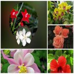 Dịch vụ giải thể công ty trọn gói giá rẻ tại Ninh Thuận 6 Muốn giải thể công ty trọn gói giá rẻ tại Ninh Thuận
