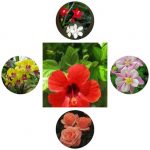 Dịch vụ giải thể công ty trọn gói giá rẻ tại Phú Thọ 6 Muốn giải thể công ty trọn gói giá rẻ tại Phú Thọ