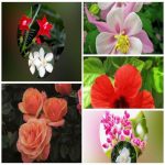 Dịch vụ giải thể công ty trọn gói giá rẻ tại Phú Yên 6 Muốn giải thể công ty trọn gói giá rẻ tại Phú Yên