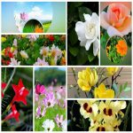 Dịch vụ giải thể công ty trọn gói giá rẻ tại Quận 12 6 Muốn giải thể công ty trọn gói giá rẻ tại Quận 12