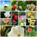 Dịch vụ giải thể công ty trọn gói giá rẻ tại Quận 2 6 Muốn giải thể công ty trọn gói giá rẻ tại Quận 2