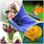 Dịch vụ giải thể công ty trọn gói giá rẻ tại Quận Đống Đa 6 Muốn giải thể công ty trọn gói giá rẻ tại Quận Đống Đa