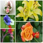 Dịch vụ giải thể công ty trọn gói giá rẻ tại Quận Hà Đông 6 Muốn giải thể công ty trọn gói giá rẻ tại Quận Hà Đông