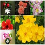 Dịch vụ giải thể công ty trọn gói giá rẻ tại Quận Hải An uy tín, nhanh chóng 6 Muốn giải thể công ty trọn gói giá rẻ tại Quận Hải An