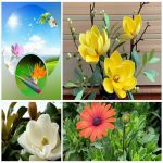 Dịch vụ giải thể công ty trọn gói giá rẻ tại Quận Hai Bà Trưng 6 Muốn giải thể công ty trọn gói giá rẻ tại Quận Hai Bà Trưng