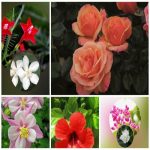 Dịch vụ giải thể công ty trọn gói giá rẻ tại Quận Hải Châu – Uy tín, nhanh gọn 6 Muốn giải thể công ty trọn gói giá rẻ tại Quận Hải Châu