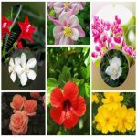 Dịch vụ giải thể công ty trọn gói giá rẻ tại Quận Lê Chân 6 Muốn giải thể công ty trọn gói giá rẻ tại Quận Lê Chân