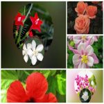 Dịch vụ giải thể công ty trọn gói giá rẻ tại Quận Liên Chiểu 6 Muốn giải thể công ty trọn gói giá rẻ tại Quận Liên Chiểu