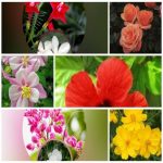Dịch vụ giải thể công ty trọn gói giá rẻ tại Quận Ngô Quyền 6 Muốn giải thể công ty trọn gói giá rẻ tại Quận Ngô Quyền