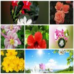 Giải thể công ty trọn gói giá rẻ tại Quận Ninh Kiều – Nhanh chóng, đúng luật 6 Dịch vụ giải thể công ty trọn gói giá rẻ tại Quận Ninh Kiều