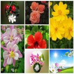 Dịch vụ giải thể công ty trọn gói giá rẻ tại Quận Ô Môn 6 Muốn giải thể công ty trọn gói giá rẻ tại Quận Ô Môn