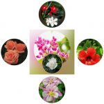 Dịch vụ giải thể công ty trọn gói giá rẻ tại Quận Sơn Trà – Nhanh chóng, đúng luật 6 Muốn giải thể công ty trọn gói giá rẻ tại Quận Sơn Trà