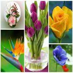 Dịch vụ giải thể công ty trọn gói giá rẻ tại Quận Tân Phú uy tín, nhanh chóng 6 Dịch vụ giải thể công ty trọn gói giá rẻ tại Quận Tân Phú