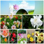 Dịch vụ giải thể công ty trọn gói giá rẻ tại Quận Tây Hồ 6 Muốn giải thể công ty trọn gói giá rẻ tại Quận Tây Hồ