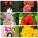 Dịch vụ giải thể công ty trọn gói giá rẻ tại Quận Thanh Khê uy tín, nhanh chóng 6 Muốn giải thể công ty trọn gói giá rẻ tại Quận Thanh Khê