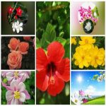 Dịch vụ giải thể công ty trọn gói giá rẻ tại Quận Thốt Nốt 6 Muốn giải thể công ty trọn gói giá rẻ tại Quận Thốt Nốt