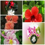 Muốn giải thể công ty trọn gói giá rẻ tại Quảng Bình