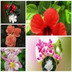 Dịch vụ giải thể công ty trọn gói giá rẻ tại Thái Bình 6 Muốn giải thể công ty trọn gói giá rẻ tại Thái Bình