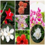 Dịch vụ giải thể công ty trọn gói giá rẻ tại Thái Nguyên 6 Muốn giải thể công ty trọn gói giá rẻ tại Thái Nguyên