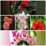 Dịch vụ giải thể công ty trọn gói giá rẻ tại Thanh Hóa 6 Muốn giải thể công ty trọn gói giá rẻ tại Thanh Hóa