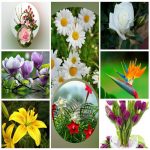 Dịch vụ giải thể công ty trọn gói giá rẻ tại Thị Xã Sơn Tây 6 Muốn giải thể công ty trọn gói giá rẻ tại Thị Xã Sơn Tây
