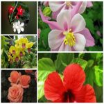 Muốn giải thể công ty trọn gói giá rẻ tại Thừa Thiên Huế