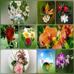 Dịch vụ giải thể công ty trọn gói giá rẻ tại TP Hà Nội 6 Muốn giải thể công ty trọn gói giá rẻ tại TP Hà Nội