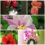 Dịch vụ giải thể công ty trọn gói giá rẻ tại Tuyên Quang uy tín, nhanh chóng 8 Muốn giải thể công ty trọn gói giá rẻ tại Tuyên Quang