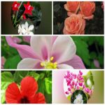 Dịch vụ giải thể công ty trọn gói giá rẻ tại Vĩnh Phúc 6 Muốn giải thể công ty trọn gói giá rẻ tại Vĩnh Phúc