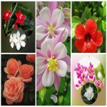 Dịch vụ giải thể công ty trọn gói giá rẻ tại Vũng Tàu 6 Muốn giải thể công ty trọn gói giá rẻ tại Vũng Tàu