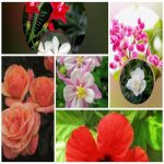 Dịch vụ giải thể công ty trọn gói giá rẻ tại Yên Bái 6 Muốn giải thể công ty trọn gói giá rẻ tại Yên Bái