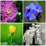 Dịch vụ xin giấy phép lữ hành nội địa Huyện Phúc Thọ 6 Muốn dịch vụ xin giấy phép LHNĐ Huyện Phúc Thọ