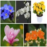Dịch vụ xin giấy phép lữ hành nội địa Kon Tum 6 Muốn dịch vụ xin giấy phép lữ hành nội địa Kon Tum