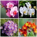 Dịch vụ xin giấy phép lữ hành nội địa Phú Quốc 6 Chi phí dịch vụ xin giấy phép lữ hành nội địa Phú Quốc