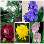 Dịch vụ xin giấy phép lữ hành nội địa Quận Hải Châu 6 Muốn dịch vụ xin giấy phép lữ hành nội địa Quận Hải Châu