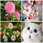 Dịch vụ xin giấy phép lữ hành nội địa Quận Tân Bình 6 Muốn dịch vụ xin giấy phép lữ hành nội địa Quận Tân Bình