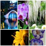 Dịch vụ xin giấy phép lữ hành nội địa Thanh Hoá 6 Muốn dịch vụ xin giấy phép lữ hành nội địa Thanh Hoá