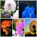 Dịch vụ xin giấy phép lữ hành nội địa Thành phố Hải Phòng 6 Muốn dịch vụ xin giấy phép lữ hành nội địa Thành phố Hải Phòng