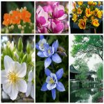 Dịch vụ xin giấy phép lữ hành quốc tế Bắc Giang 6 Muốn dịch vụ xin giấy phép lữ hành quốc tế Bắc Giang
