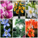 Dịch vụ xin giấy phép lữ hành quốc tế Bắc Kạn 6 Muốn dịch vụ xin giấy phép lữ hành quốc tế Bắc Kạn