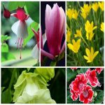 Dịch vụ xin giấy phép lữ hành quốc tế Điện Biên 6 Muốn dịch vụ xin giấy phép lữ hành quốc tế Điện Biên