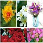 Muốn dịch vụ xin giấy phép lữ hành quốc tế Hà Giang
