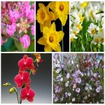 Dịch vụ xin giấy phép lữ hành quốc tế Hà Nam 6 Muốn dịch vụ xin giấy phép lữ hành quốc tế Hà Nam
