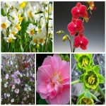 Muốn dịch vụ xin giấy phép lữ hành quốc tế Hà Tĩnh