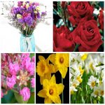 Dịch vụ xin giấy phép lữ hành quốc tế Hải Dương 6 Muốn dịch vụ xin giấy phép lữ hành quốc tế Hải Dương
