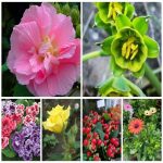 Dịch vụ xin giấy phép lữ hành quốc tế Hòa Bình 6 Muốn dịch vụ xin giấy phép lữ hành quốc tế Hòa Bình
