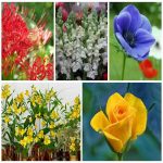 Dịch vụ xin giấy phép lữ hành quốc tế Huyện đảo Bạch Long Vĩ 6 Muốn dịch vụ xin giấy phép lữ hành quốc tế Huyện Đảo Bạch Long Vĩ